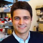 Profile picture of Mikhail G Shapiro
