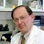 Profile picture of Daniel Shouval