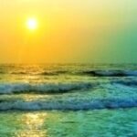 Profile picture of Despina-Manuela Toader