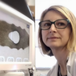 Profile picture of Maddalena Parafati