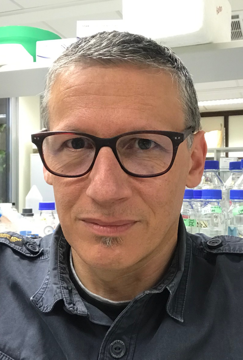Profile picture of Franck Martin
