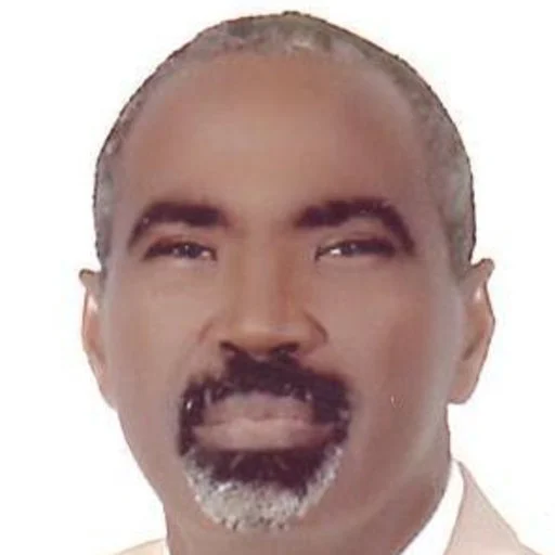 Profile picture of Hyder Osman Mirghani