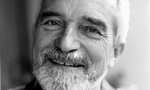 Profile picture of Robin Wood