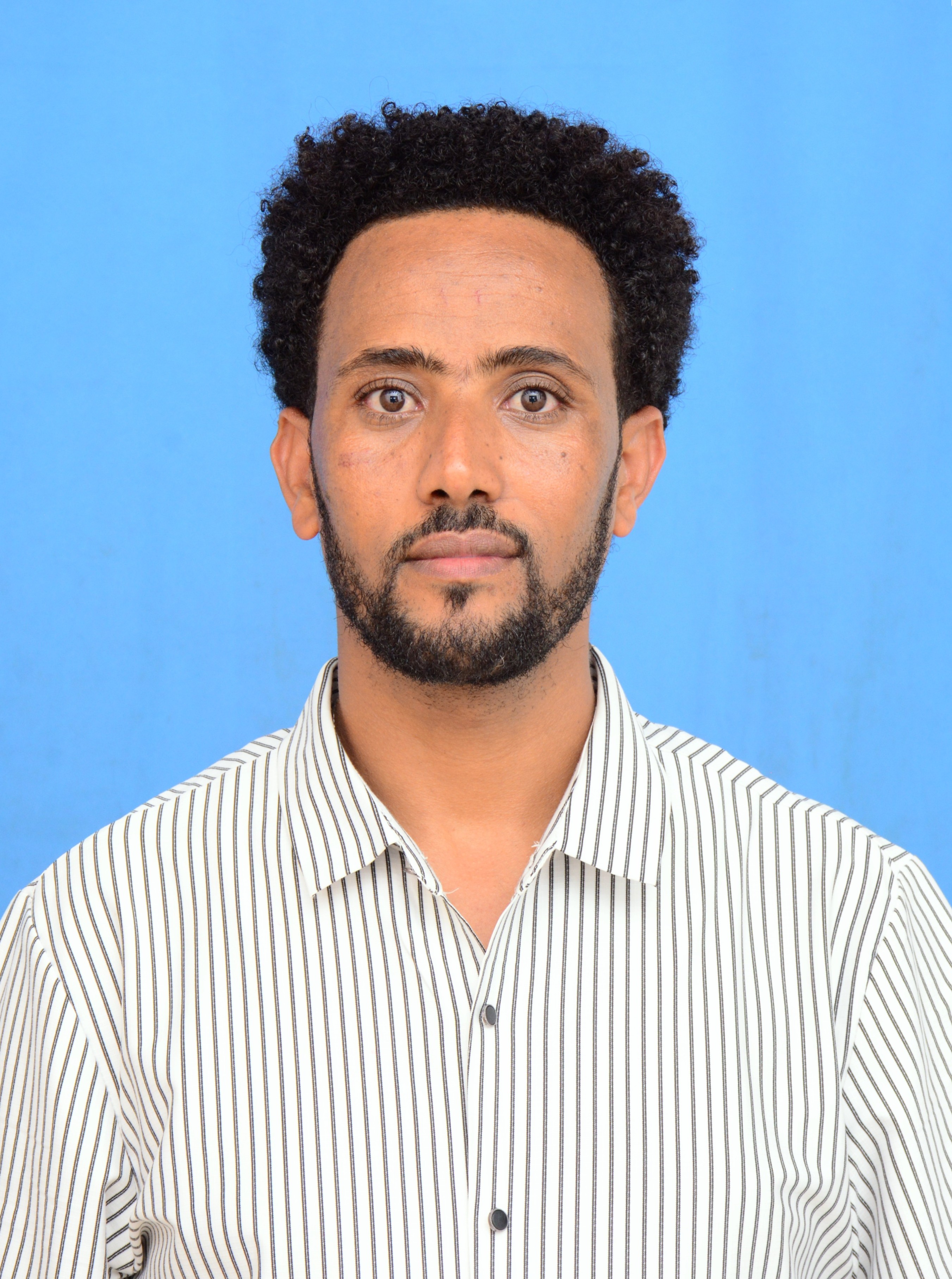 Profile picture of Seboka Abebe Sori