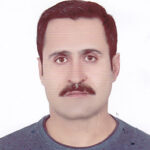 Profile picture of Reza Ghanei Gheshlagh